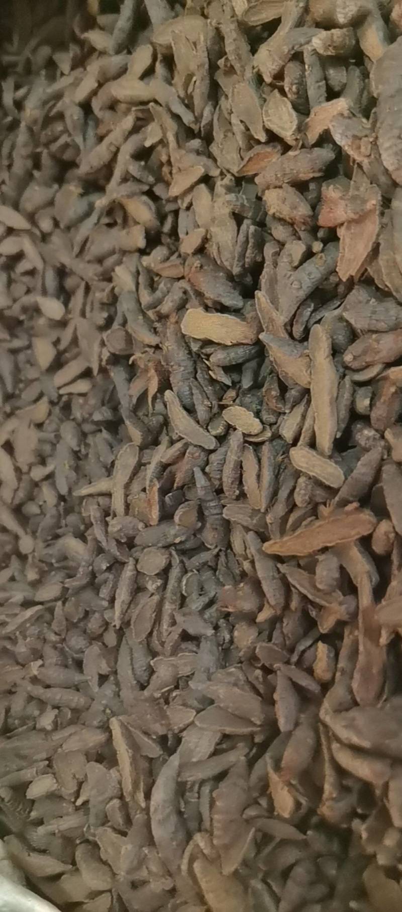 山东菏泽一手货源醋香附片品质好价格优对接全国市场欢迎采购
