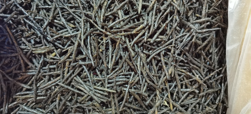 大叶苦丁茶批发优质苦丁茶规格齐全可供实体店量大价