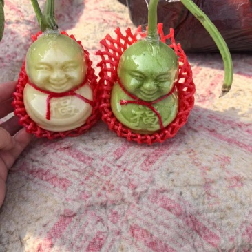 人参果