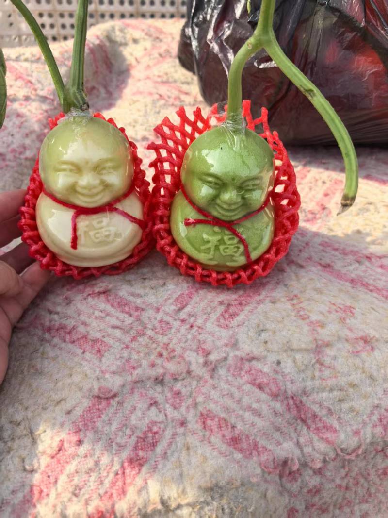 人参果