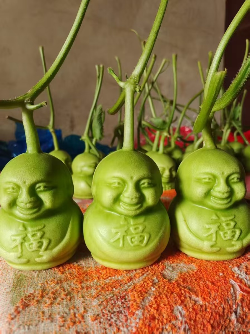 人参果