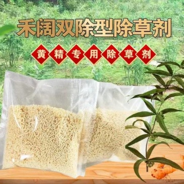 黄精玉竹苗后除草剂黄精苗玉竹定向喷打