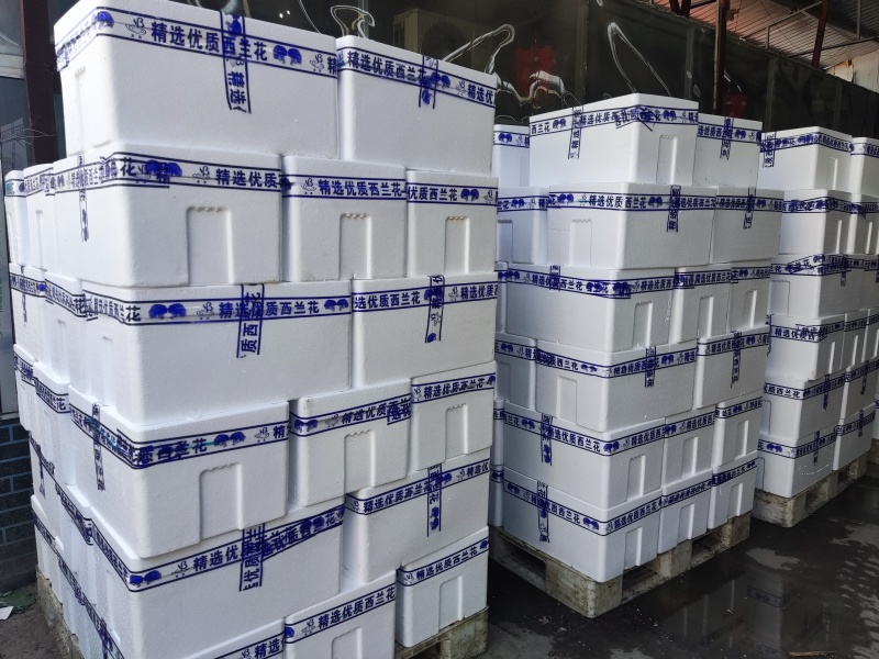 通货高通精品西兰花常年内贸出口食堂超市电商