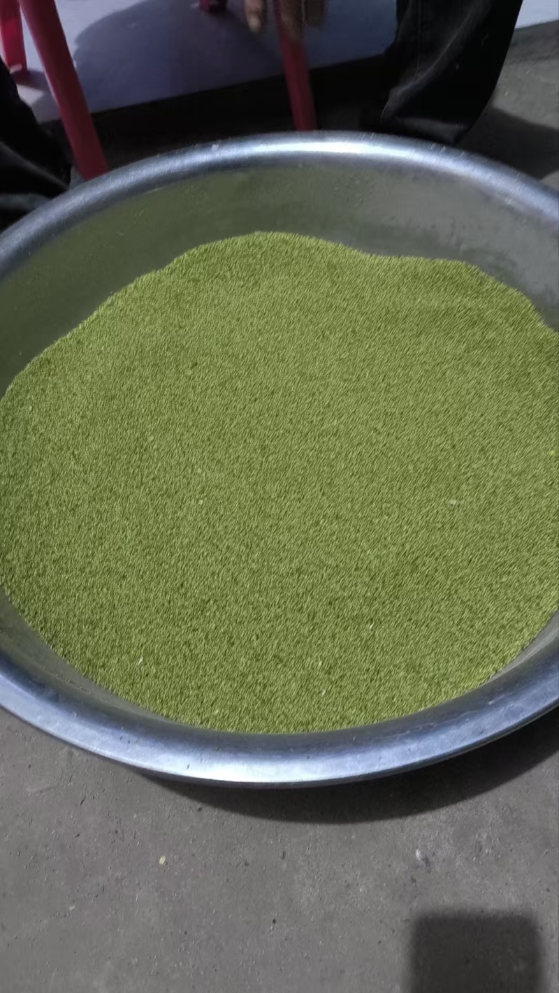猫爪草种子