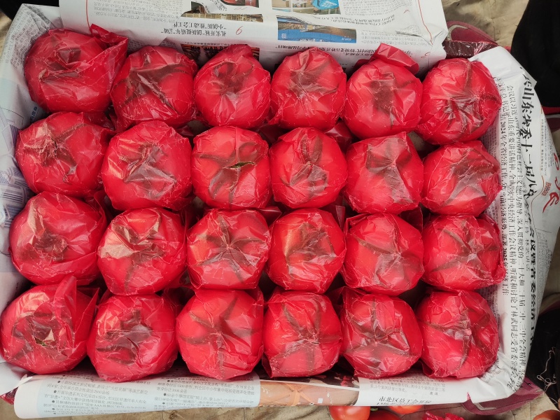 寿光精品高通通货食堂货毛粉西红柿