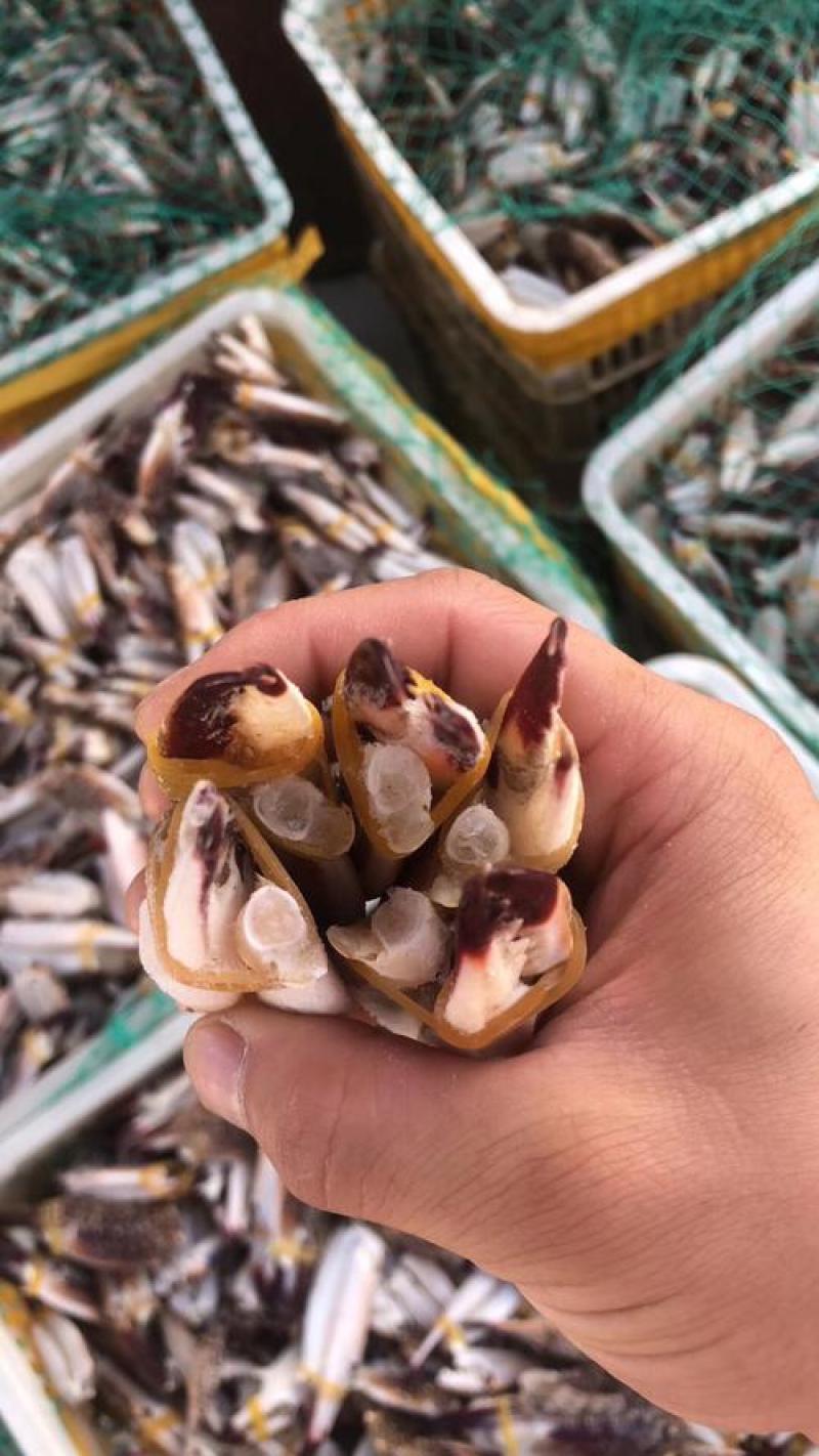 梭子蟹蟹钳