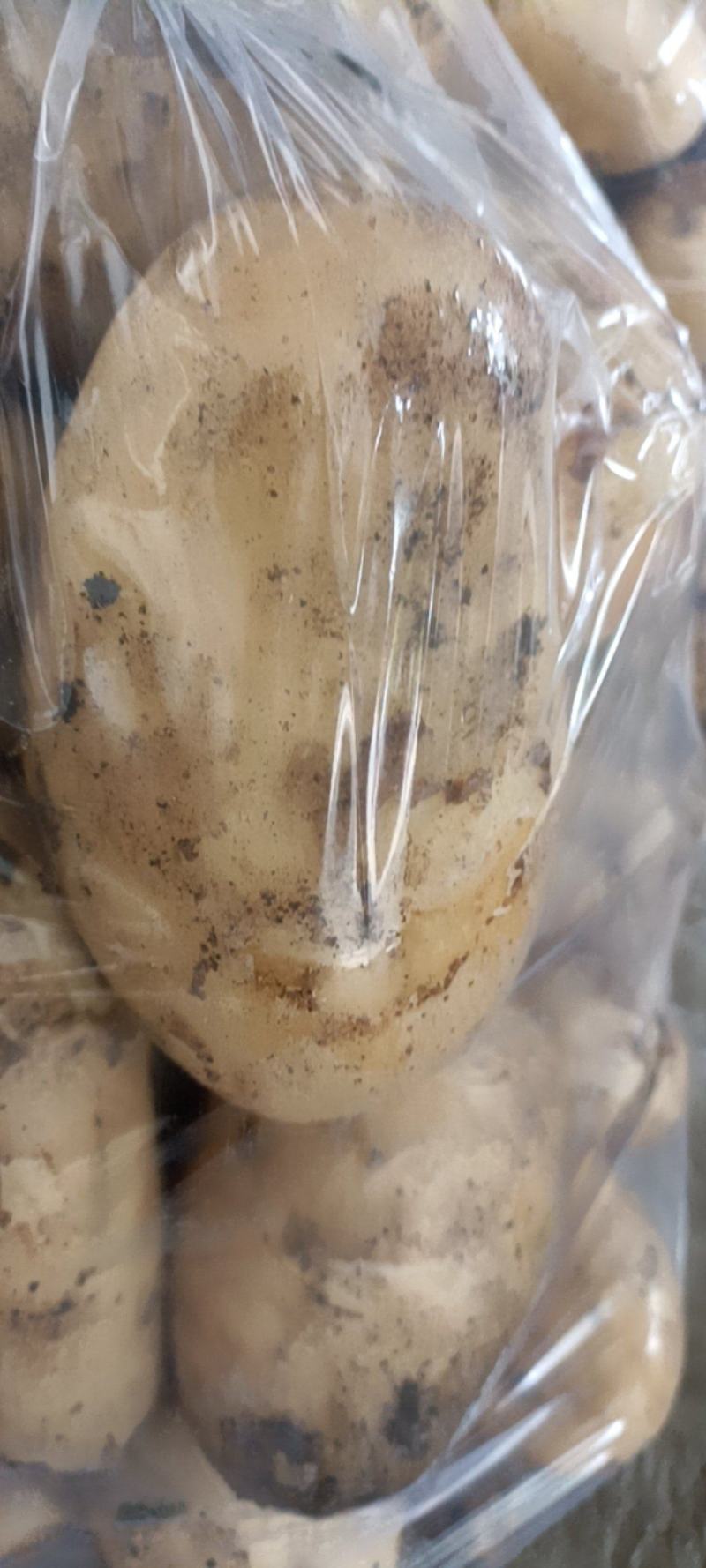 成都土豆大量上市了！！！！！土豆