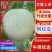 海南网文瓜