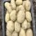 新鲜土豆精品土豆电商商超产地直供质优价廉