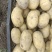 新鲜土豆精品土豆电商商超产地直供质优价廉