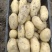 新鲜土豆精品土豆电商商超产地直供质优价廉
