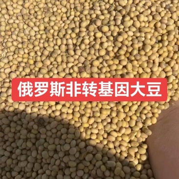 俄罗斯非转基因大豆
