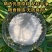 专属LH莲花1千克/袋莲花味精袋装家用调味料经典煲汤烹