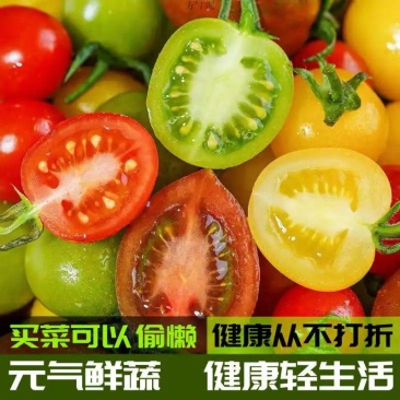 [顺丰/京东包邮]山东三色/四色小番茄“一番好柿”礼盒低