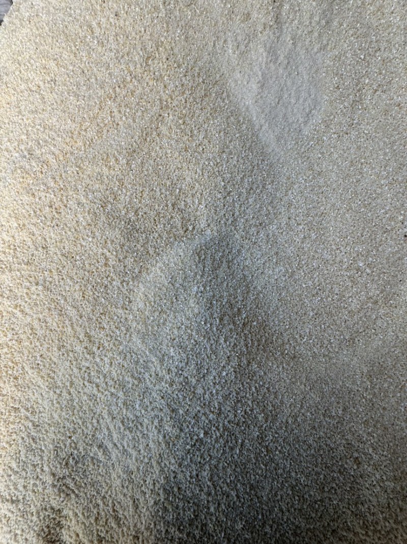 西藏精品奶渣