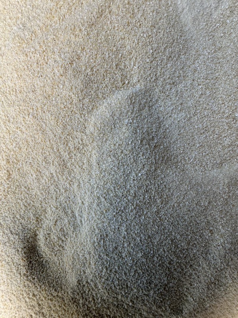 西藏精品奶渣