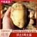 开封沃土5号土豆新货上市批发电商大量现货价格优惠