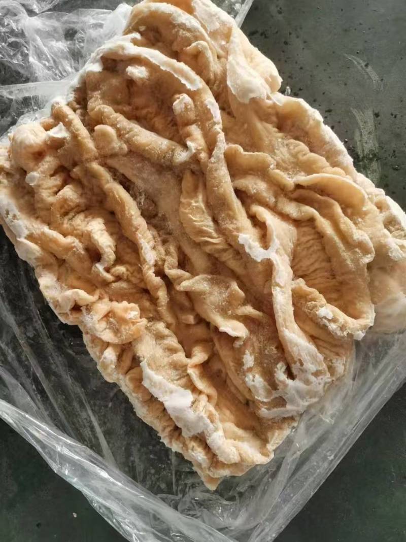 肥猪预煮大肠净油