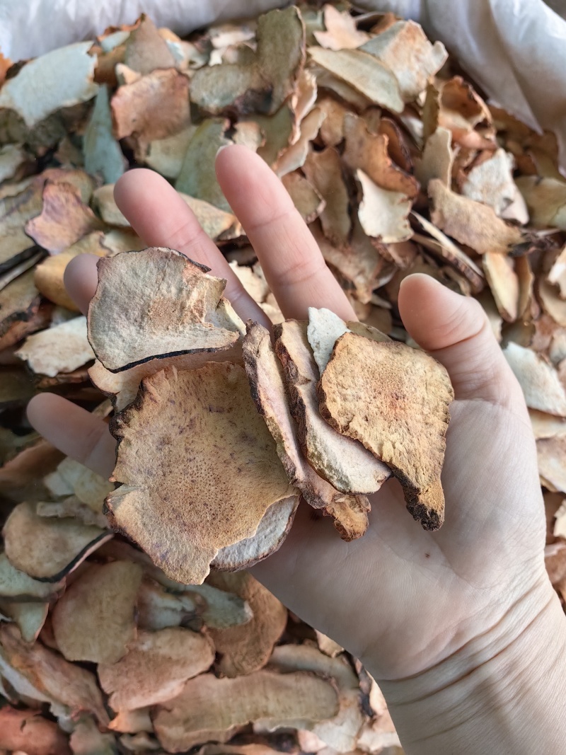 土茯苓批发土茯苓规格齐全产地货源量大价优