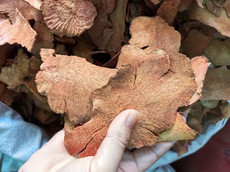 土茯苓批发土茯苓规格齐全产地货源量大价优