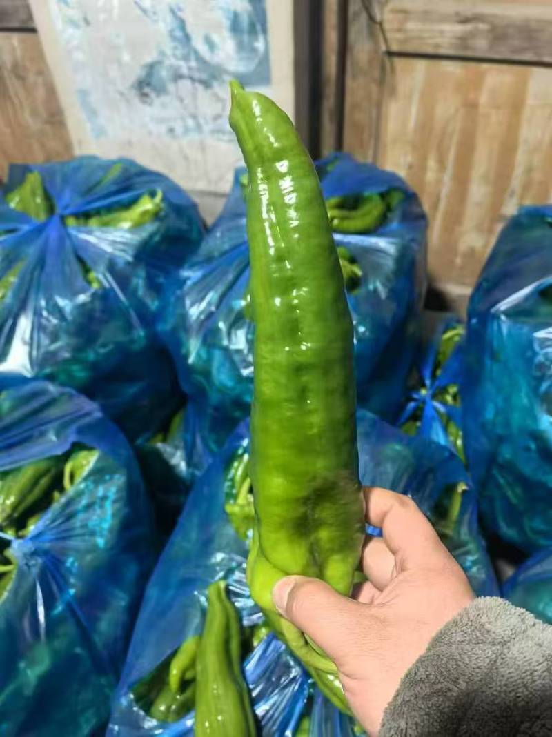 精品辣椒