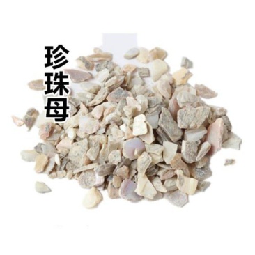 珍珠母批发各种规格中药材质量保证量大从优