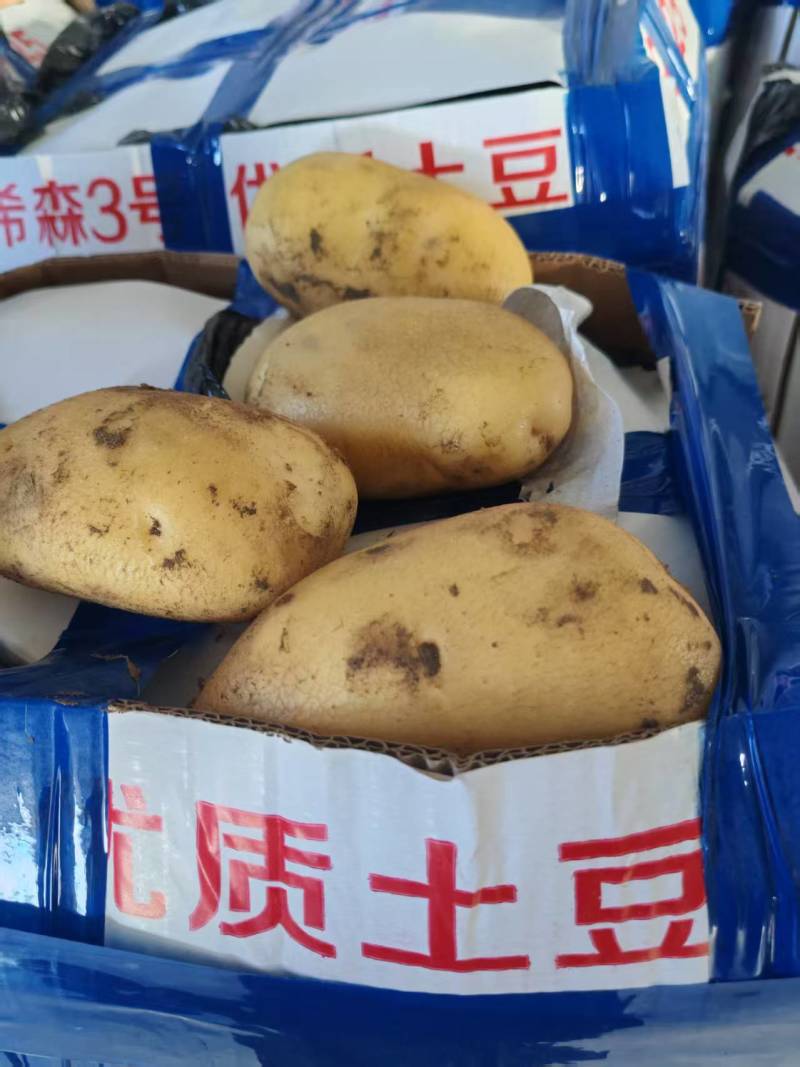 【推荐】土豆云南丽薯六号马铃薯货源充足优质欢迎来电