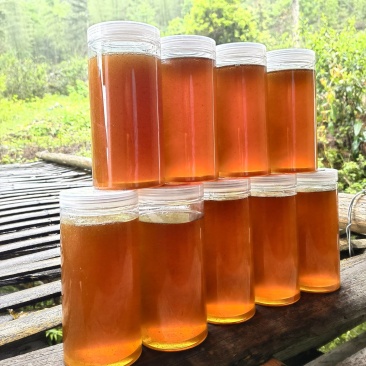 正真大山里的土蜂蜜.
