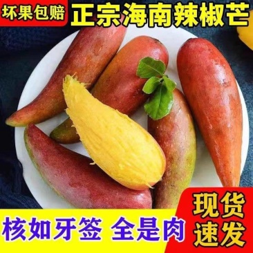海南三亚辣椒芒新鲜手指芒牙签芒