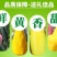 海南三亚辣椒芒新鲜手指芒牙签芒