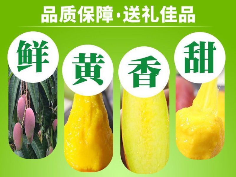海南三亚辣椒芒新鲜手指芒牙签芒