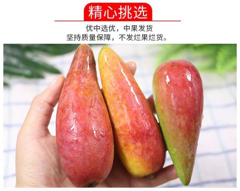 海南三亚辣椒芒新鲜手指芒牙签芒