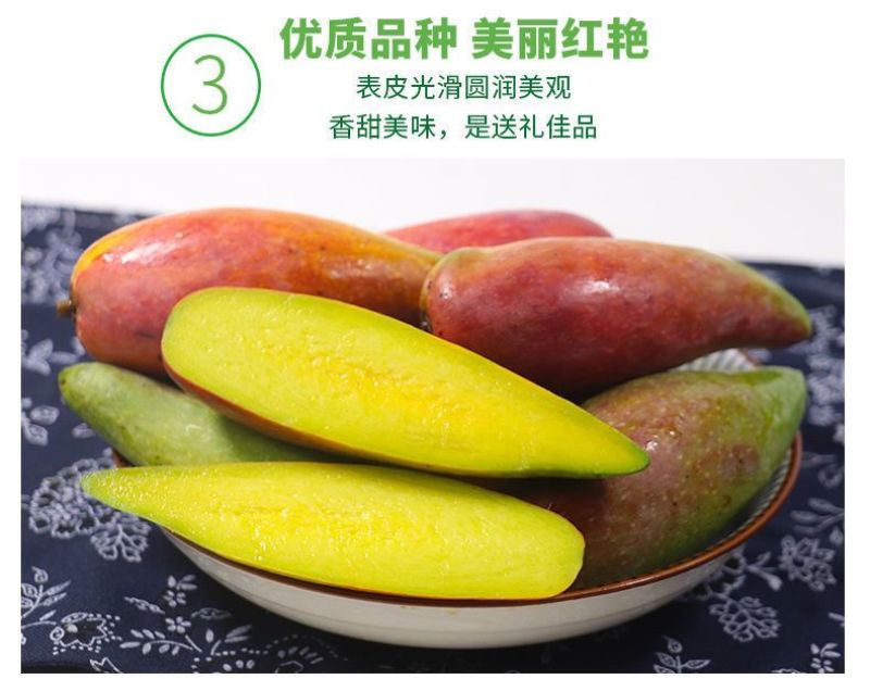 海南三亚辣椒芒新鲜手指芒牙签芒