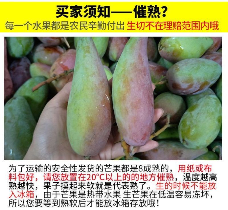 海南三亚辣椒芒新鲜手指芒牙签芒