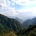 正真大山里的土蜂蜜.