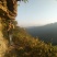 正真大山里的土蜂蜜.