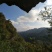 正真大山里的土蜂蜜.