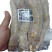 华南9号黄肉木薯现挖现发货煮糖水的绝配