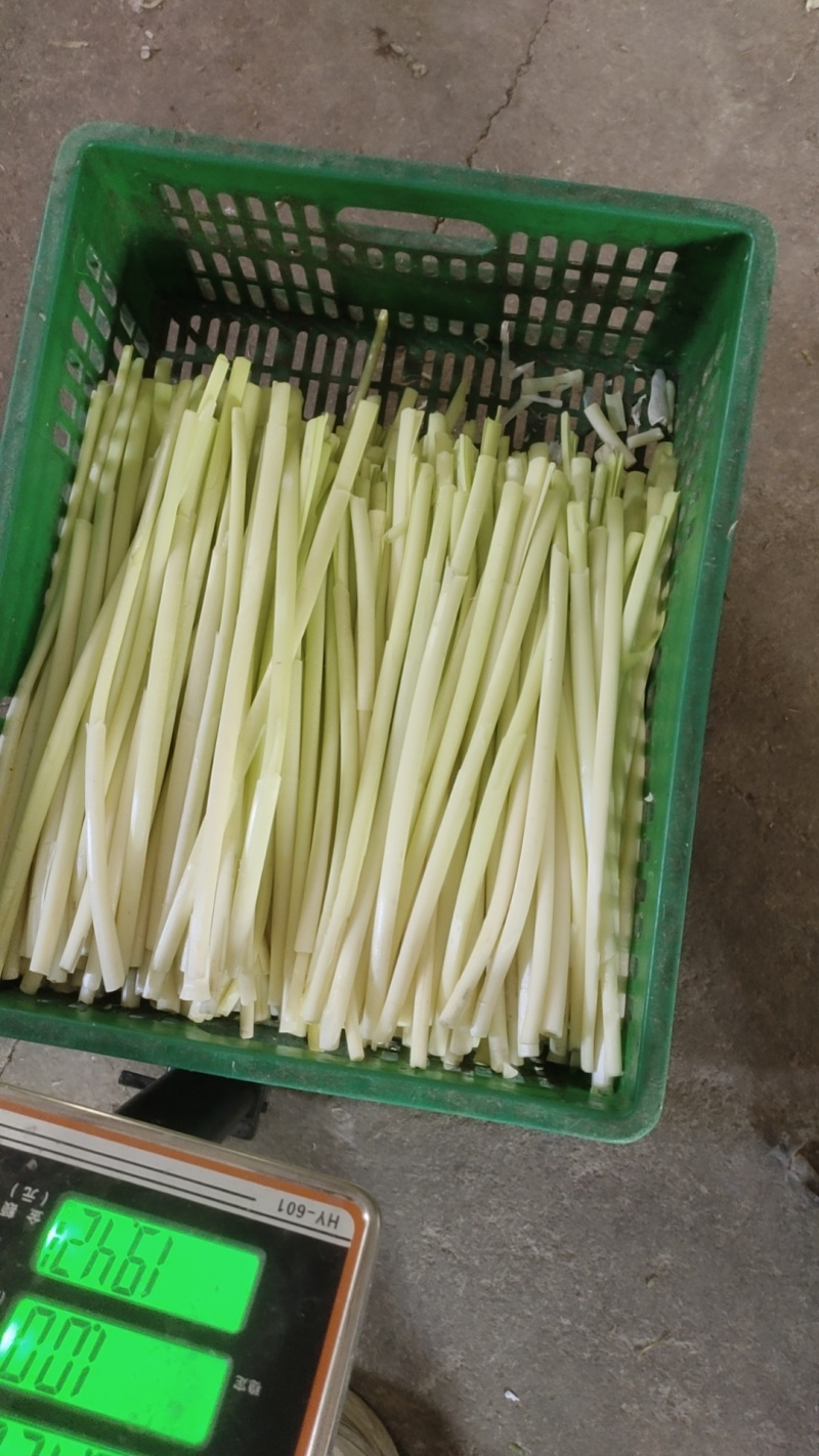 鲜蒲菜对接电商平台抖音和一件代发