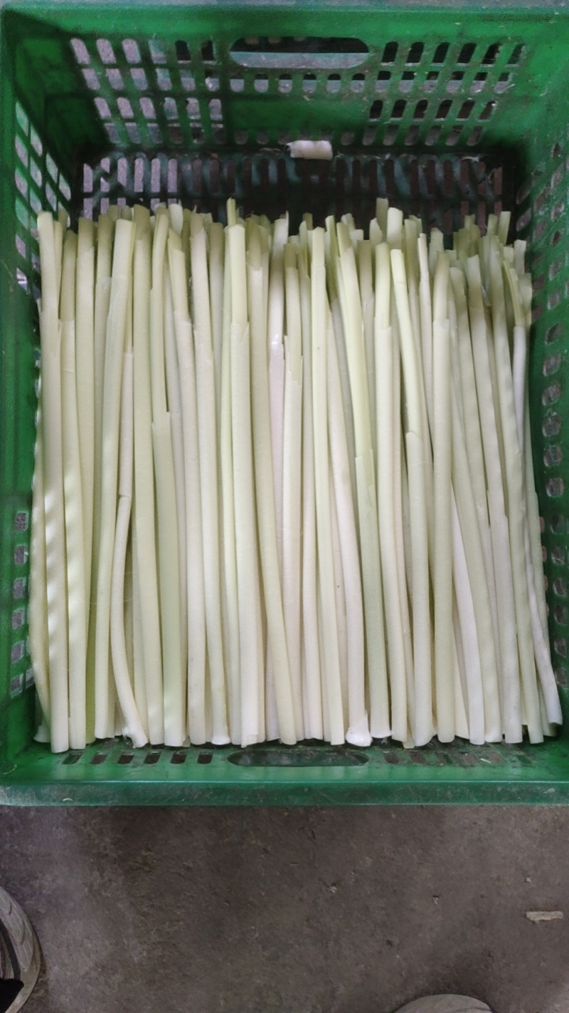 鲜蒲菜对接电商平台抖音和一件代发