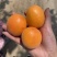 露天金太阳