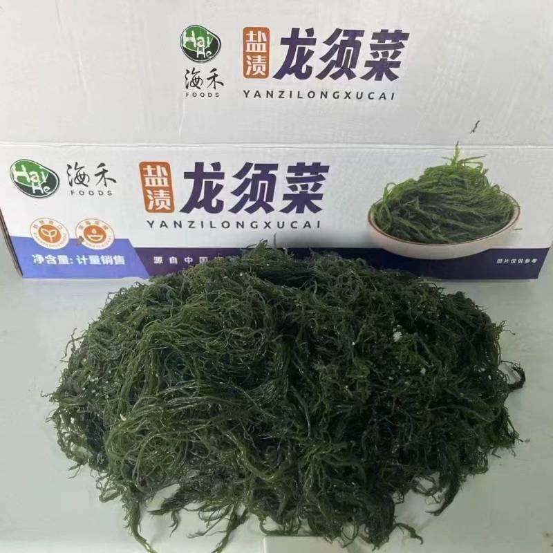 精品龙须菜源头基地量大从优全国可发价格透明