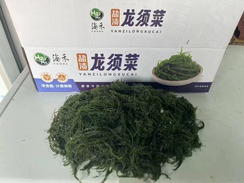 精品龙须菜源头基地量大从优全国可发价格透明