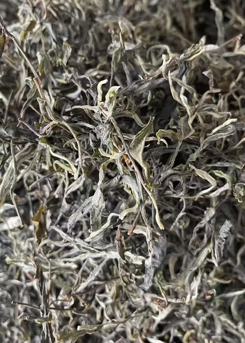 精品普洱散茶源头产地一手货源对接各大商超价格透明