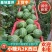 《小糖丸西瓜》2K西瓜/手剥西瓜/牛奶爆瓜/包熟包甜