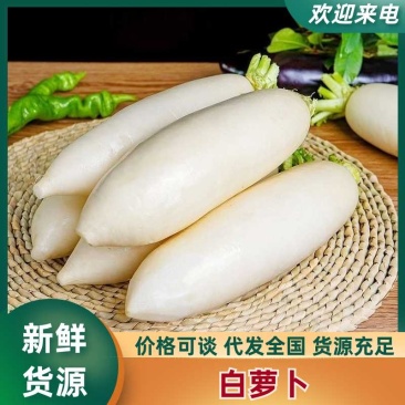 正宗高山白萝卜新鲜农家自种现拔现发批发不辣可生吃腌制泡菜