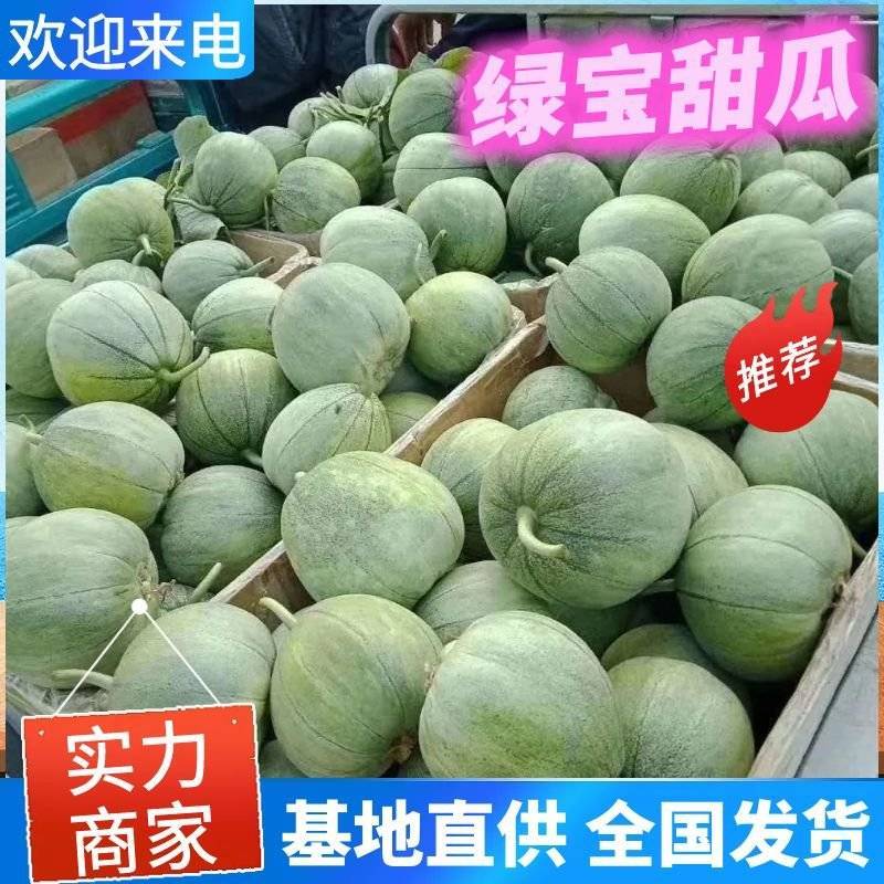 头茬绿宝甜瓜/单县甜瓜/产地现货供应/商超～批发～团购