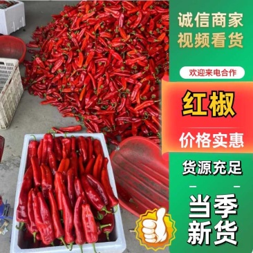 芜湖精品红椒大红椒便宜量大特大红椒好货，