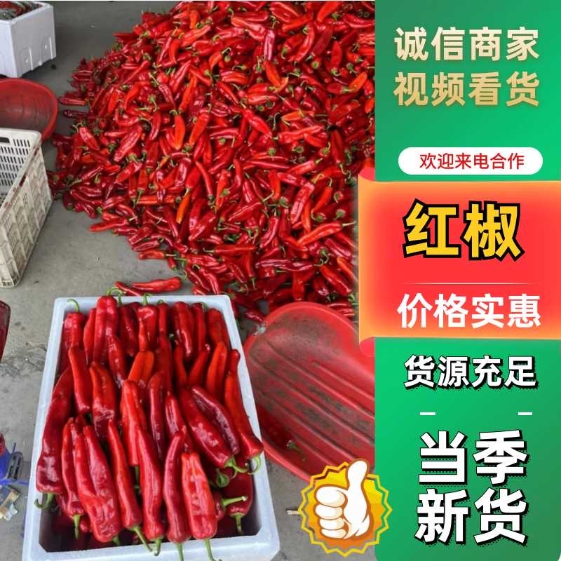芜湖精品红椒大红椒便宜量大特大红椒好货，