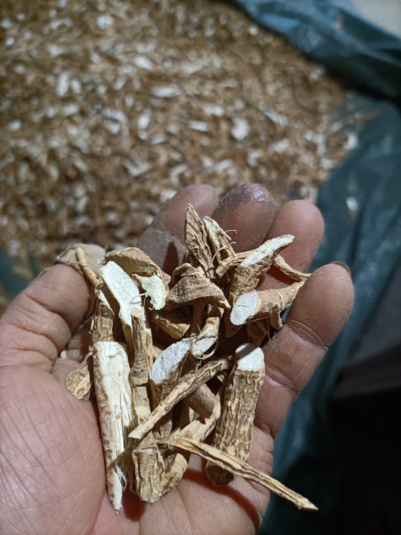 广东河源牛大力货源充足产地直发欢迎电话联系